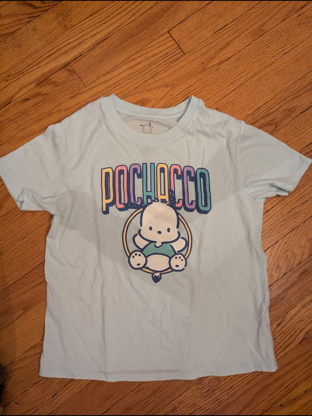 Sanrio Pochacco Light Blue Graphic Tee with Multicolor Lettering